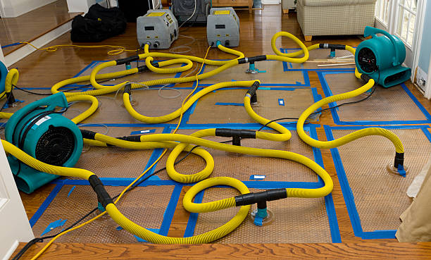 Professional Crawl Space Water Removal technician working in San Marcos, TX